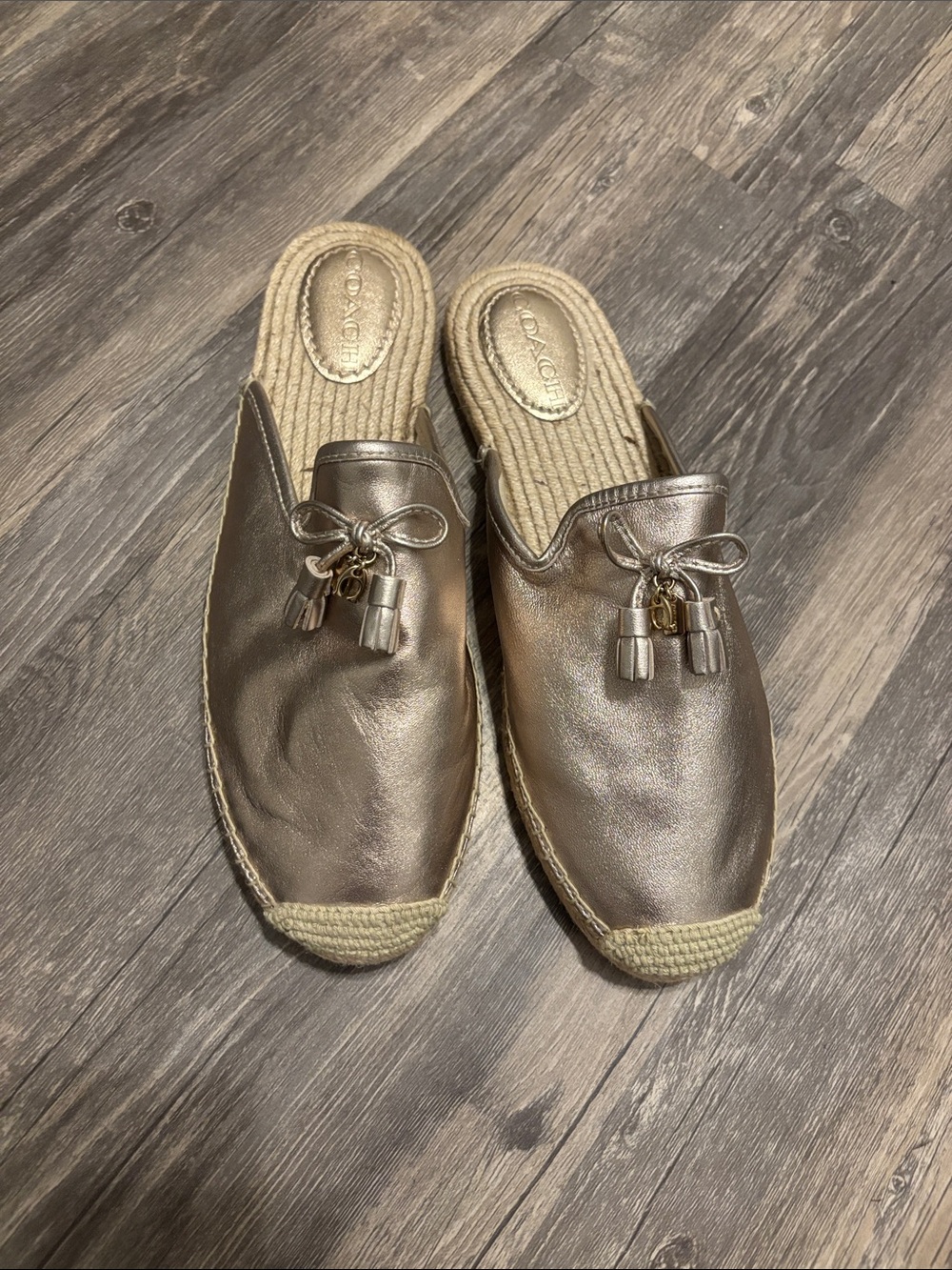 Coach Metallic Leather Tassel Espadrille Mules - Silver - Picture 1 of 6